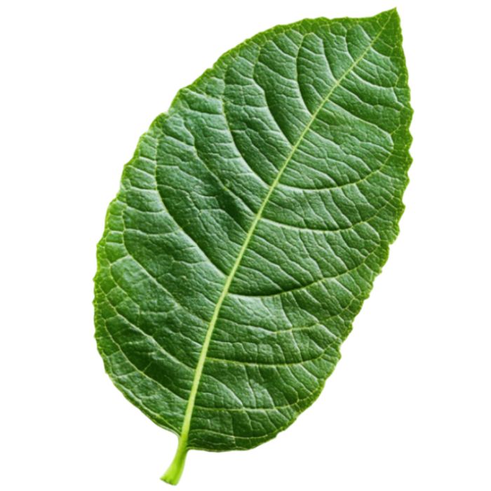 Testprodukt Tabakautomat